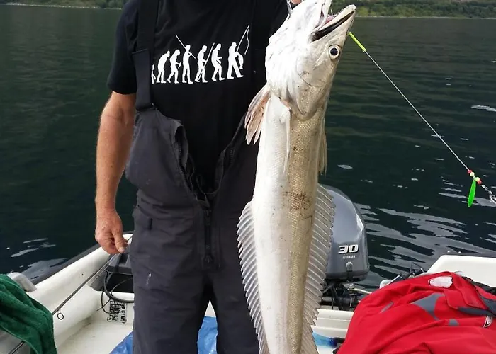 Troll Fjordhytter Semesterbostad *